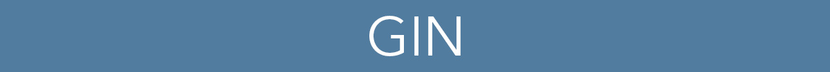 Gin